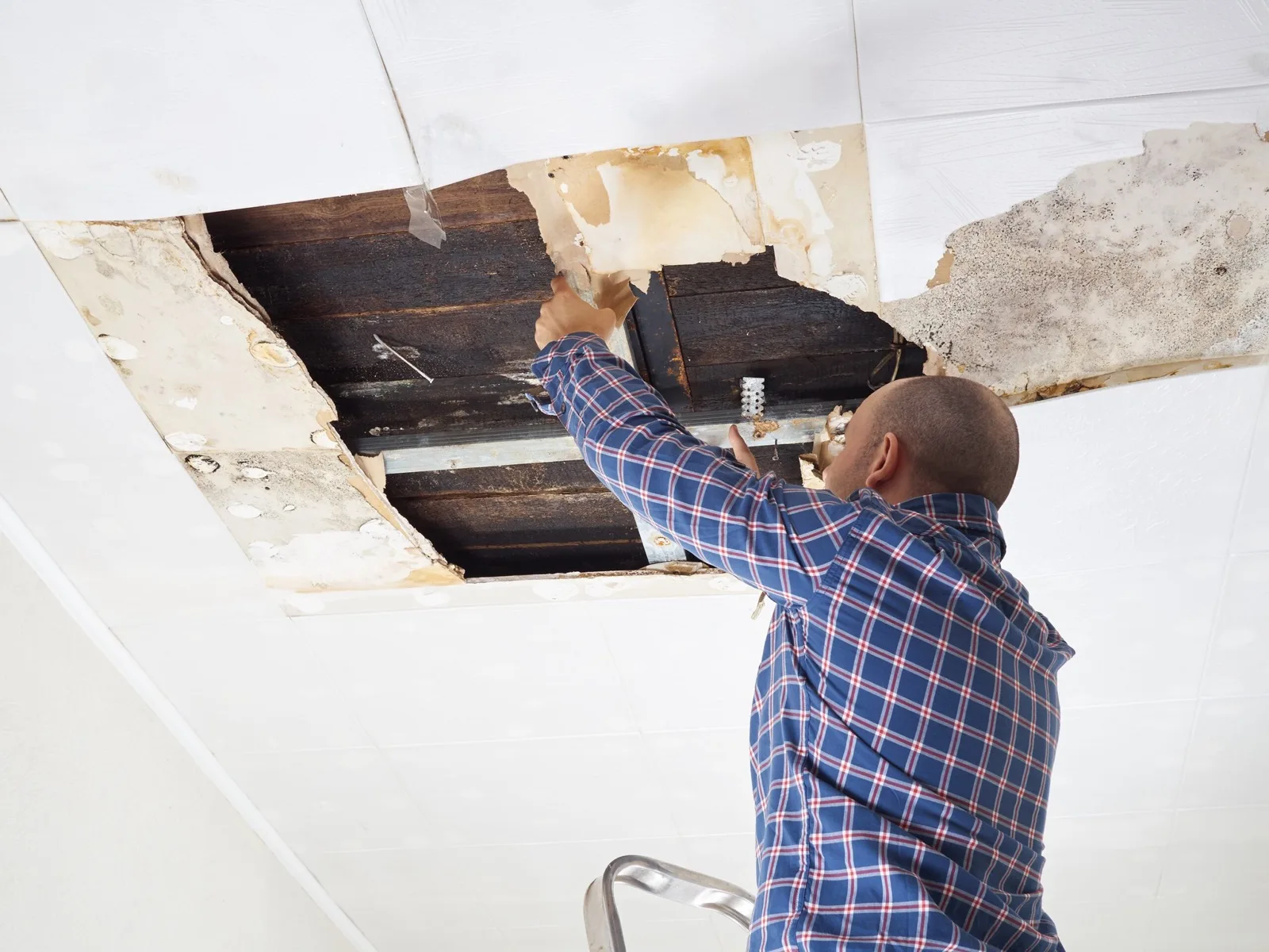What Are The Common Causes of Ceiling Damage and Why Ceiling Repairs Is Important